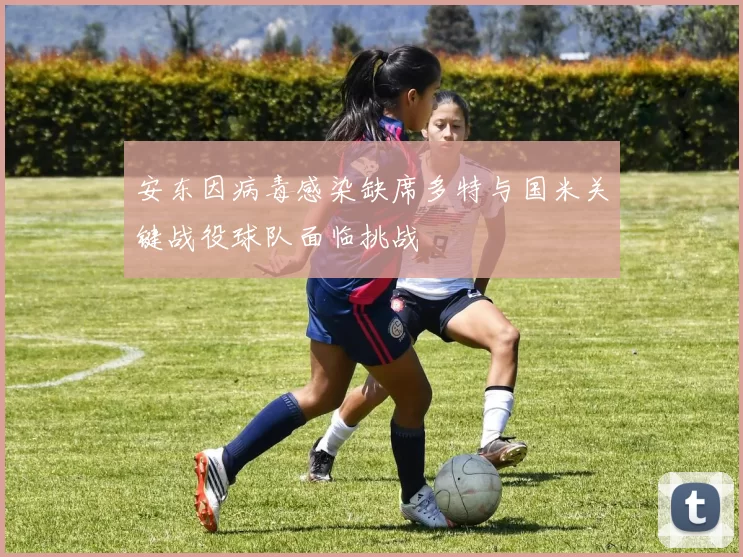 安东因病毒感染缺席多特与国米关键战役球队面临挑战